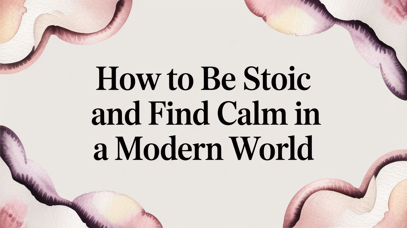 How to Be Stoic and Find Calm in a Modern World